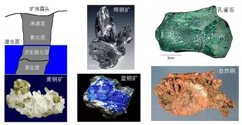 冶金技術與中華文明——第二屆中國考古學大會公共考古講座紀實